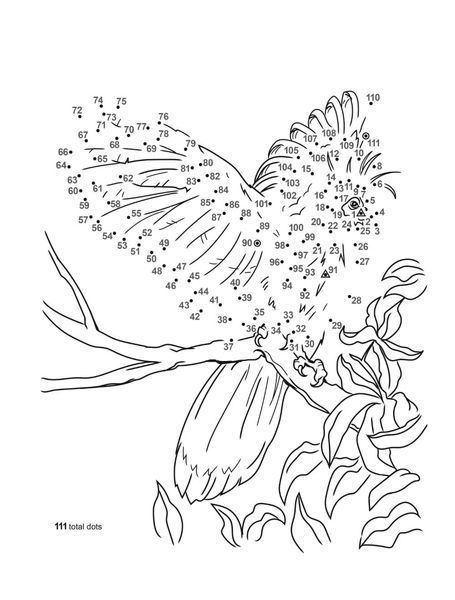 Birds Dot-to-Dot Coloring Book 108071 фото