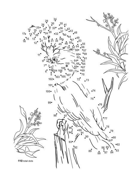 Birds Dot-to-Dot Coloring Book 108071 фото