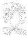 Birds Dot-to-Dot Coloring Book 108071 фото 3