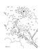 Birds Dot-to-Dot Coloring Book 108071 фото 4