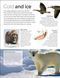 Eyewitness. Animal 64765 фото 4