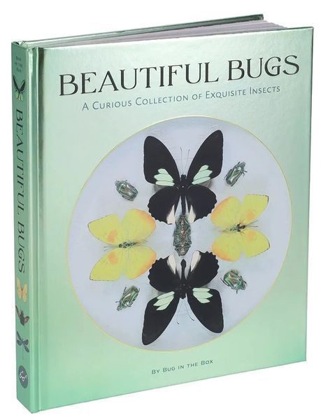 Beautiful Bugs. A Curious Collection of Exquisite Insects. Bug in the Box 107052 фото