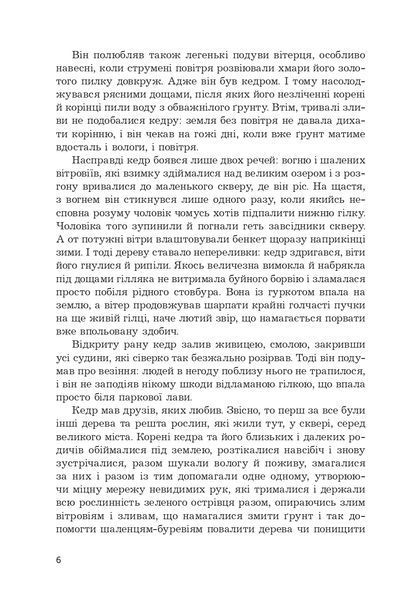 Книга Мадам з Броварів. Олесь Ільченко 96487 фото