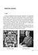 Книга Війни в лабіринтах. Історія спеціальних служб. 1939&mdash;1945. Африка, Азія, Америка. Том 5. Ігор Ландер 77391 фото 5