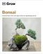 Grow Bonsai 31056 фото 1