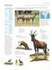Encyclopedia of Animals 89218 фото 3