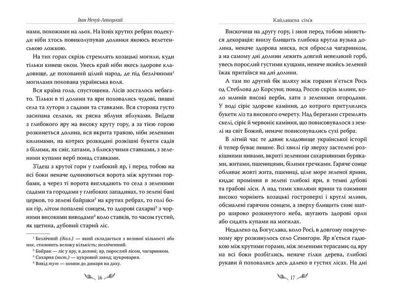 Книга Кайдашева сім&rsquo;я. Іван Нечуй-Левицький 1447 фото